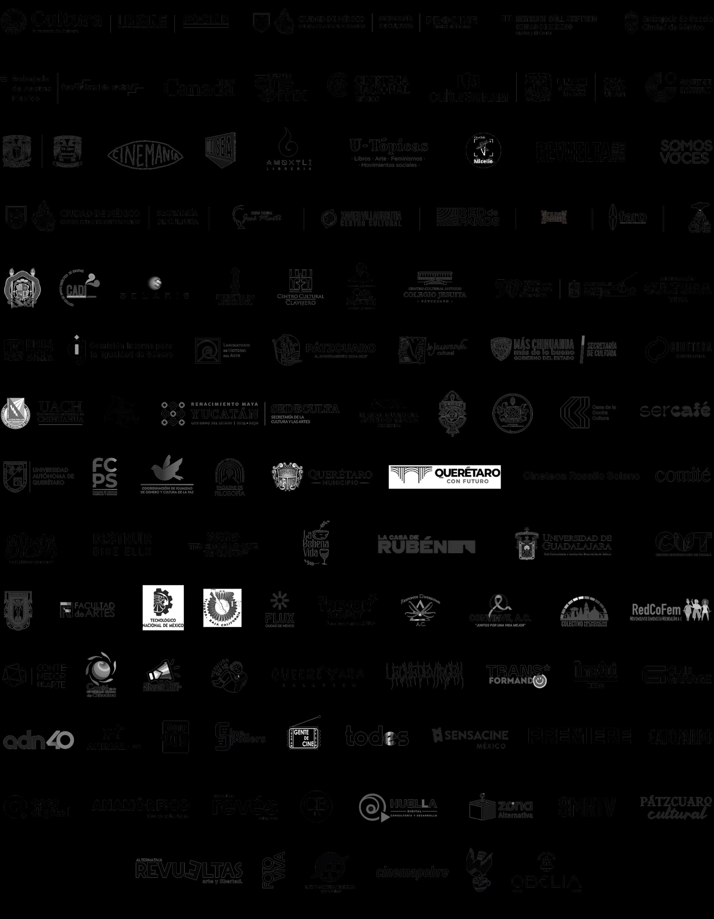 Mapa de alianzas de Cinema Queer México